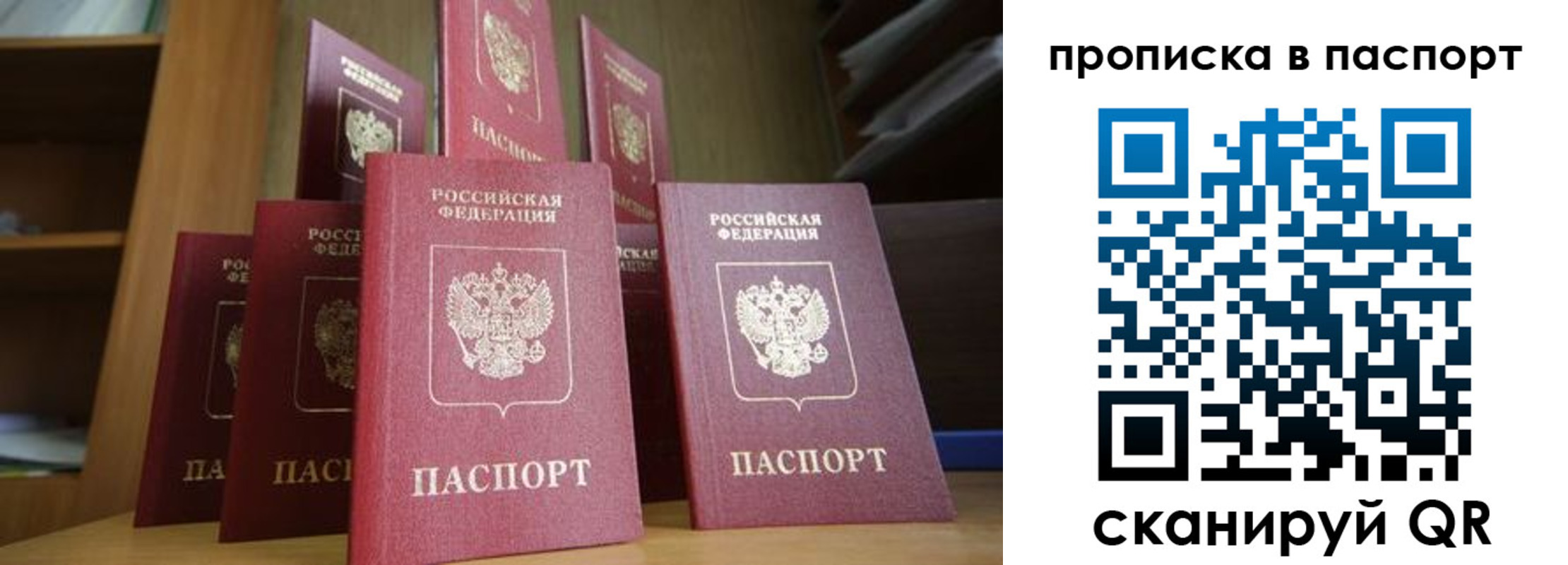 прописка законно в Зверево