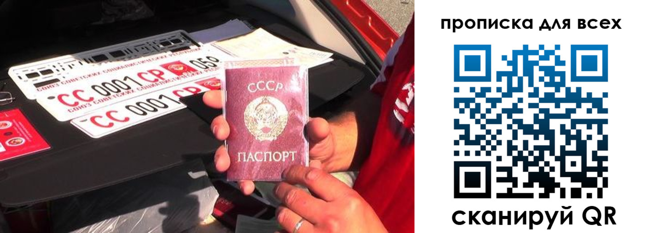 прописка для школы в Зверево